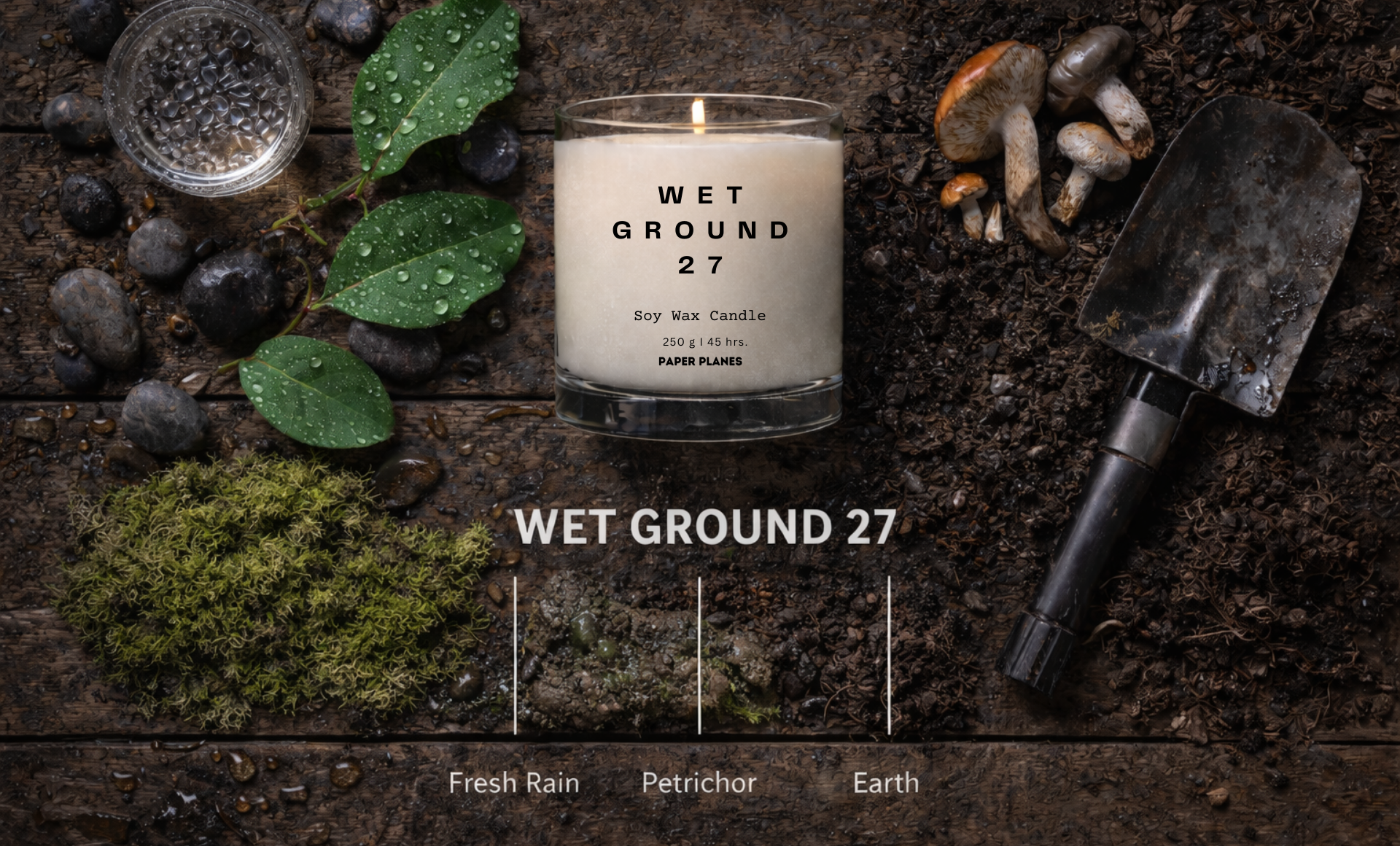 Wet Ground 27